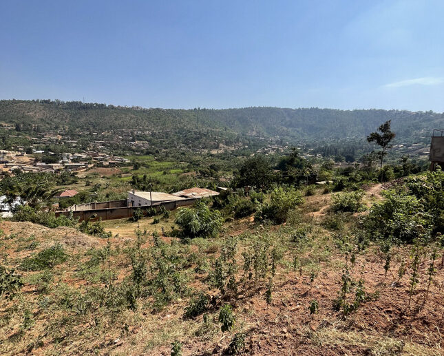 Buy land plut properties (6)