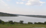 muhazi house for sale plut properties (10)
