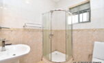 Big 8 bedroom house for rent plut properties (8)