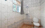 House for rent in Rebero plut properties (6)