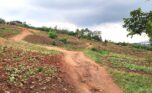 land in economic zone for sale plut properties rwanda (2)
