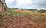 land in economic zone for sale plut properties rwanda (6)