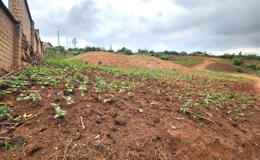 land in economic zone for sale plut properties rwanda (6)