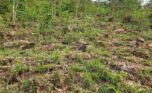 quarry for sale in Bugesera Plut Properties (3)