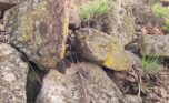 quarry for sale in Bugesera Plut Properties (7)