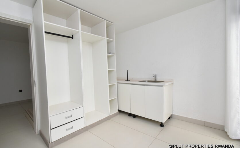 twin houses for rent in Gishushu plut properties (6)