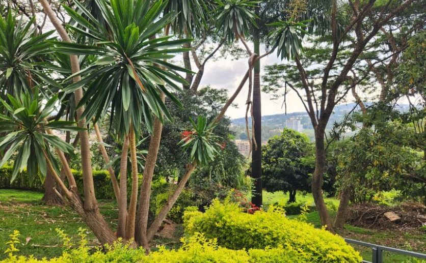 kacyiru land for sale plut properties kigali rwanda (1)