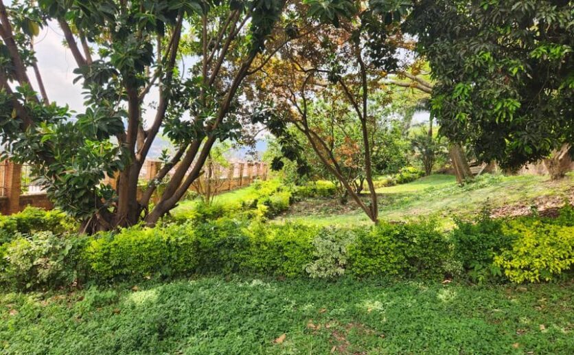 kacyiru land for sale plut properties kigali rwanda (14)