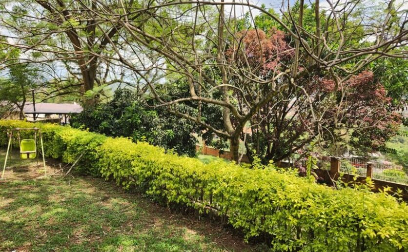 kacyiru land for sale plut properties kigali rwanda (15)