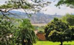 kacyiru land for sale plut properties kigali rwanda (2)