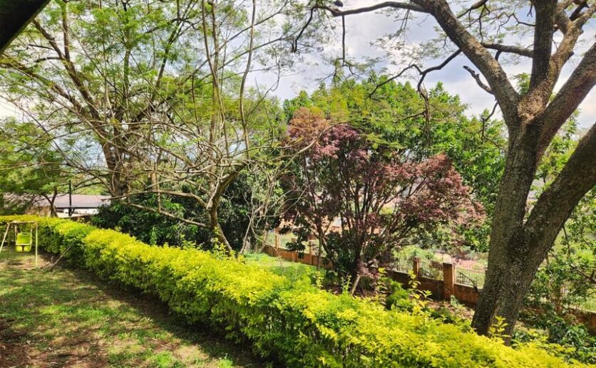 kacyiru land for sale plut properties kigali rwanda (3)