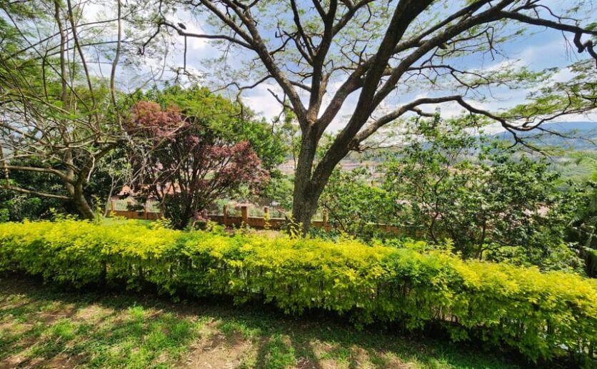 kacyiru land for sale plut properties kigali rwanda (4)