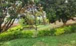 kacyiru land for sale plut properties kigali rwanda (7)