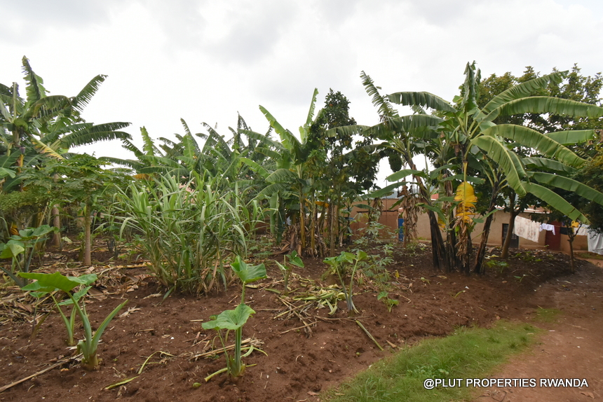 Residential Plot for Sale in Kinyinya