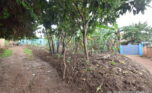 Big plot for sale in Kinyinya Kigali plut properties (6)