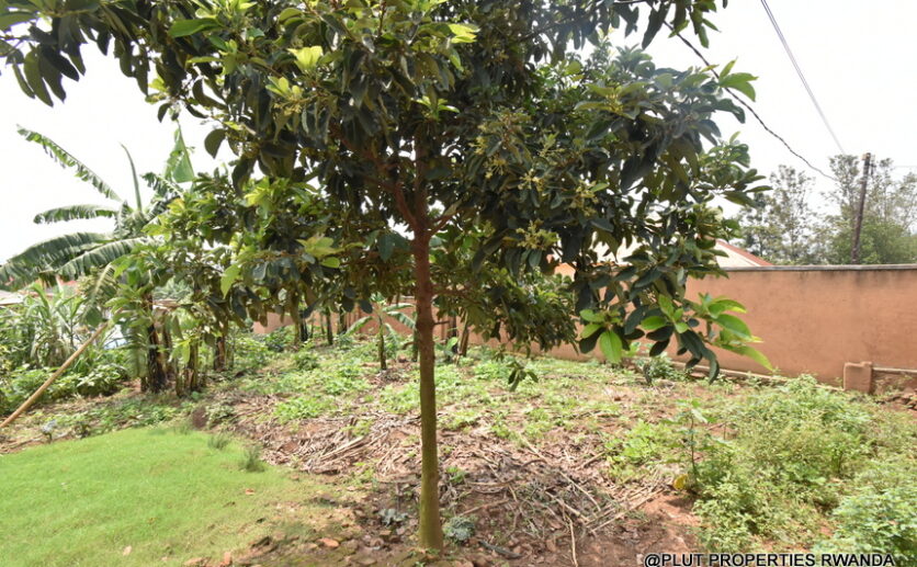 prime plot for sale plut properties (15)