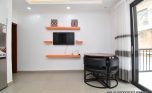 1 bedroom apartment update plut properties (1)