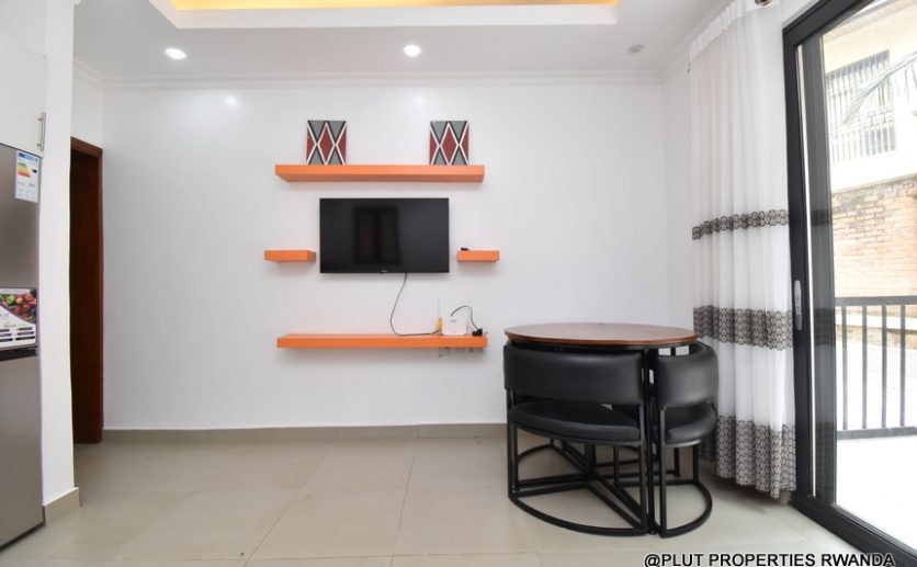 1 bedroom apartment update plut properties (1)