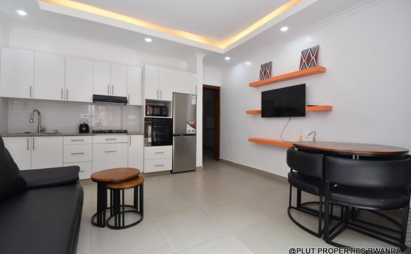 1 bedroom apartment update plut properties (12)