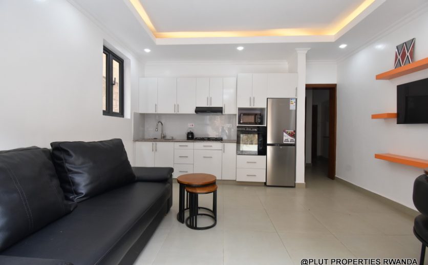 1 bedroom apartment update plut properties (13)