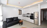 1 bedroom apartment update plut properties (14)