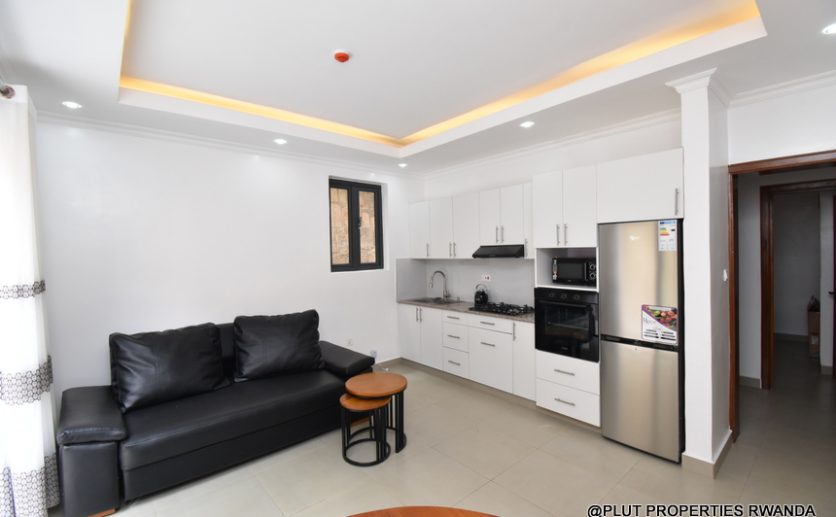 1 bedroom apartment update plut properties (14)