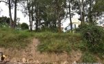 Big plot for sale in Nyarutarama plut properties (6)