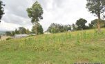 Niboye Big plot for sale plut properties (10)
