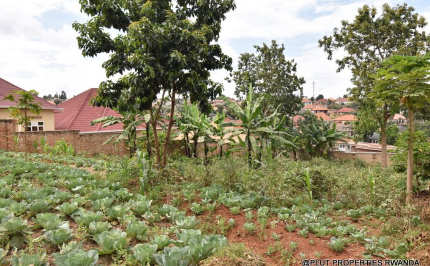 Niboye Big plot for sale plut properties (15)