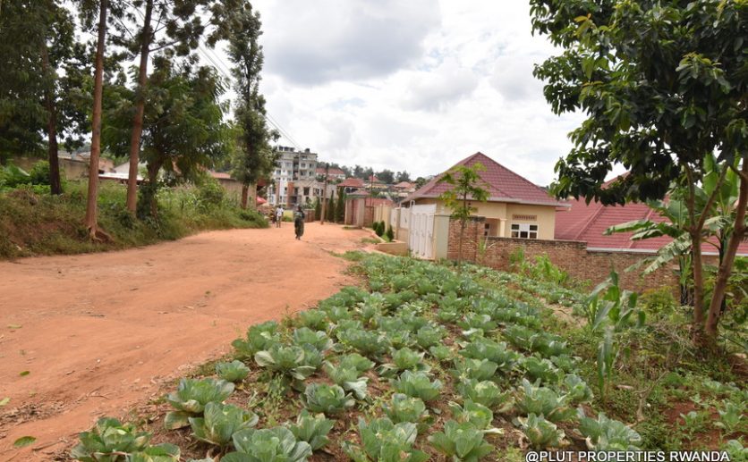Niboye Big plot for sale plut properties (16)