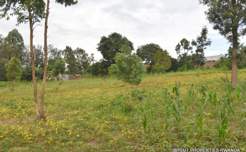 Niboye Big plot for sale plut properties (7)